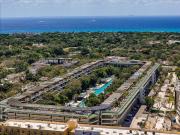 Top Playa del Carmen