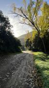 Top Villamassargia