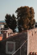 Top Zadar