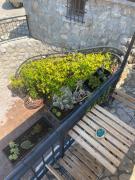 Top Herceg-Novi
