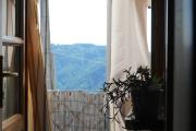 Top Camaiore