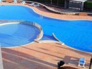 Top San Miguel de Abona