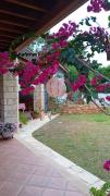 Top Limassol