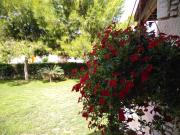 Top Limassol