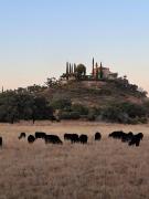 Top San Pelayo de Guareña