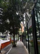 Top São Paulo