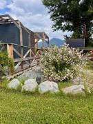 Tiny House with Mountain Views