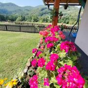 Top Mokra Gora Top Mokra Gora
