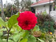Top Coonoor