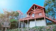 Top Kawazu