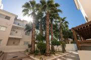 Top Paralimni