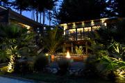 Top Pichilemu