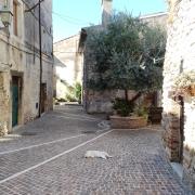 Top Ponticelli
