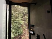 Top Pisgah Forest