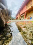 Mùa Pửi Lô lô homestay