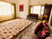 Top Shimla