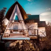 Top Cottonwood Shores