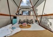 Top Cottonwood Shores