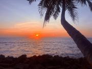 Top Fort Kochi