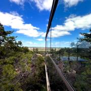 Top Cottonwood Shores