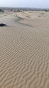 Top Jaisalmer