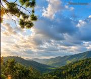 Top Vagamon