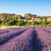 Top Saignon