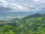 Top Bandipur