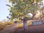 Thulani Game-Lodge And Eco Estate