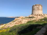 Top Isola Rossa