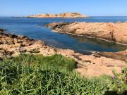 Top Isola Rossa