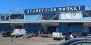 Top Sydney Top Sydney