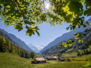 Holiday Home Haus bei Grindelwald by Interhome