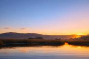 Top Puno