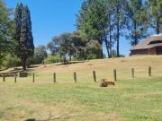 Top Sasolburg
