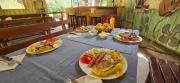 My Olive Garden Camp