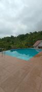 Top Wayanad