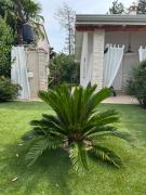 Top Novigrad Istria