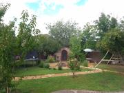 Top Nuevo Casas Grandes