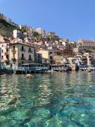 Top Scilla