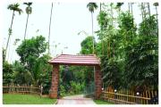 Top Batheri