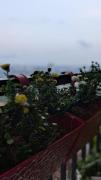 Top Cochin