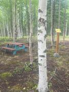 Top Wasilla
