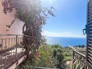 Top Cipressa