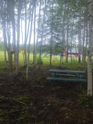Top Wasilla