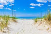 Top Destin