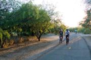 Top Tucson