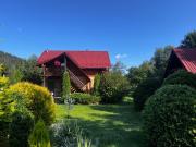 Top Mykulychyn