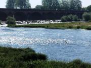 Top Nevers