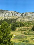 Top Korita
